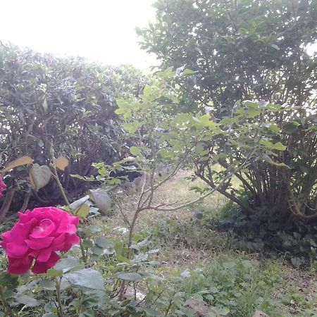 Casa Bindi Otel Triana Dış mekan fotoğraf